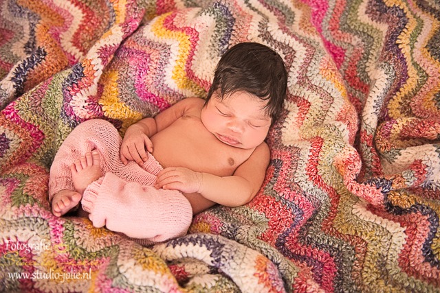 newborn sessie boeken reserveer je newborn shoot bij fotografie studio jolie